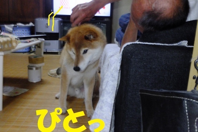 DSCF7830.JPG