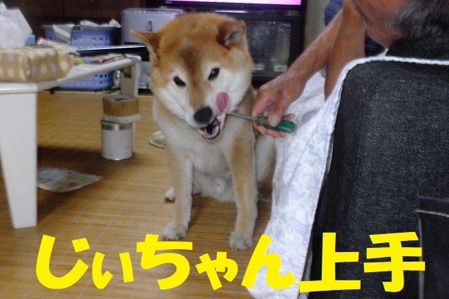 DSCF7832.JPG