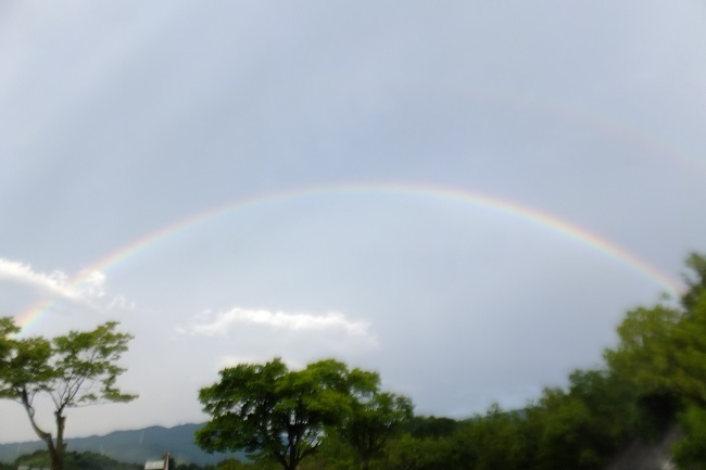 DSCF8205.JPG