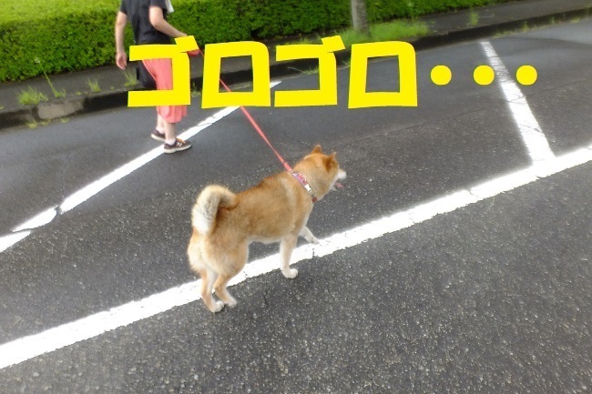 DSCF8207.JPG