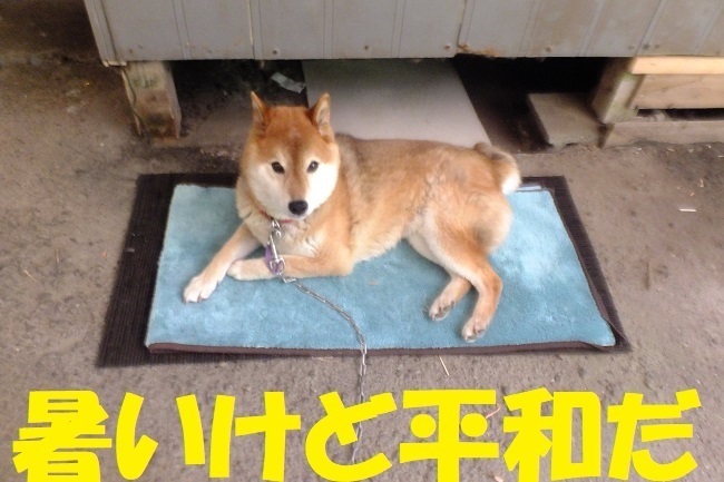 DSCF8220.JPG