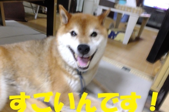 DSCF8260.JPG