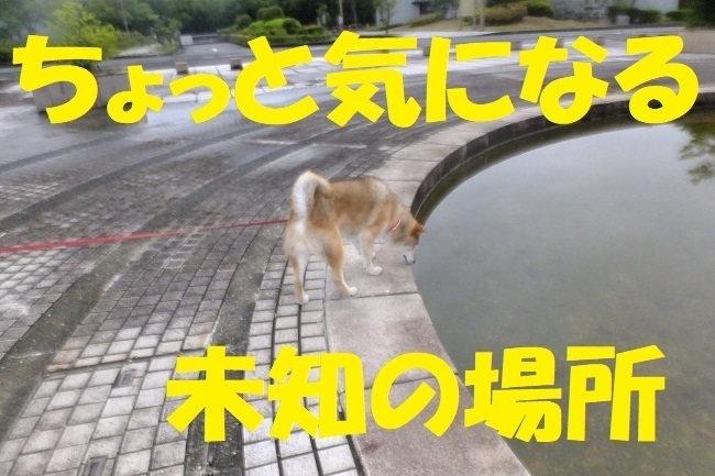 DSCF8386.JPG