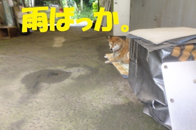 DSCF8399.JPG