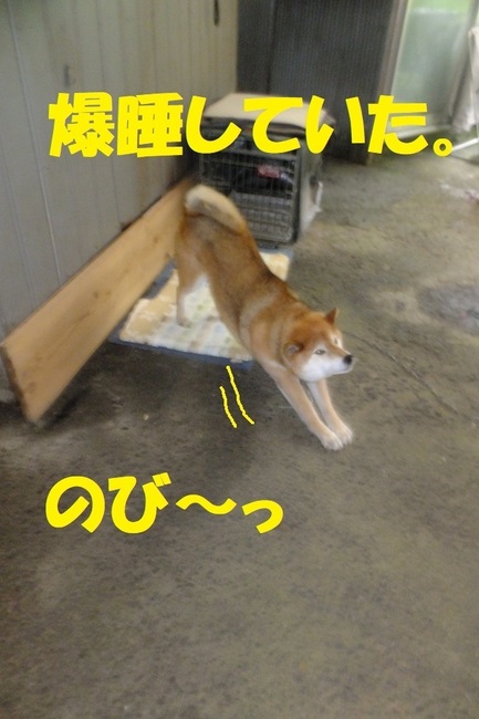 DSCF8408.JPG