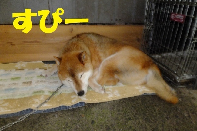 DSCF8414.JPG