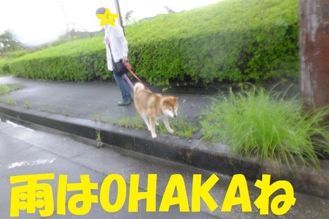 DSCF8422.JPG