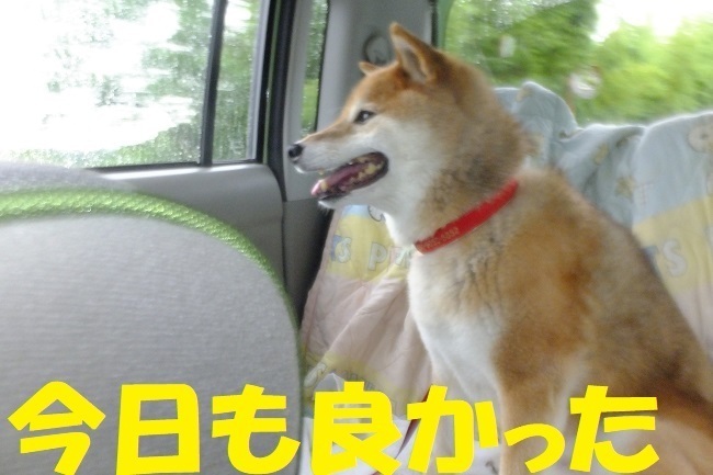 DSCF8429.JPG