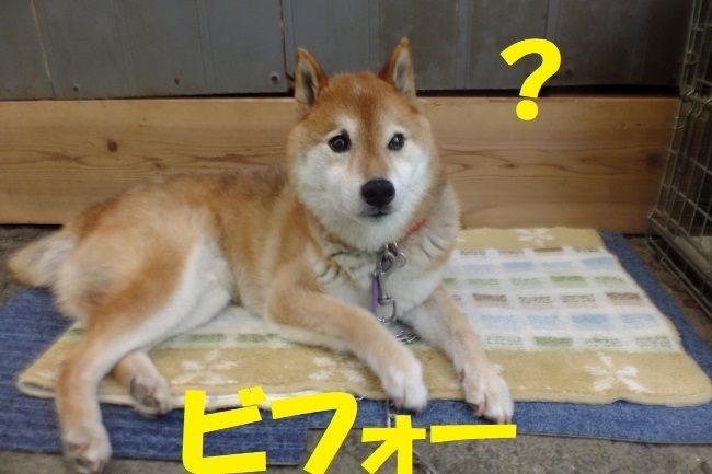 DSCF8451.JPG