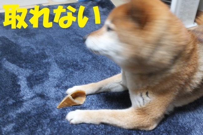 DSCF8880.JPG