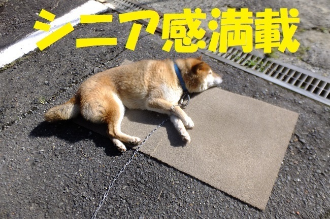 DSCF8899.JPG