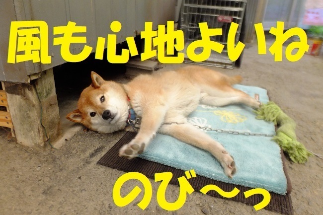 DSCF8911.JPG