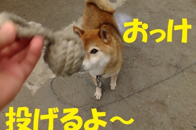 DSCF8924.JPG