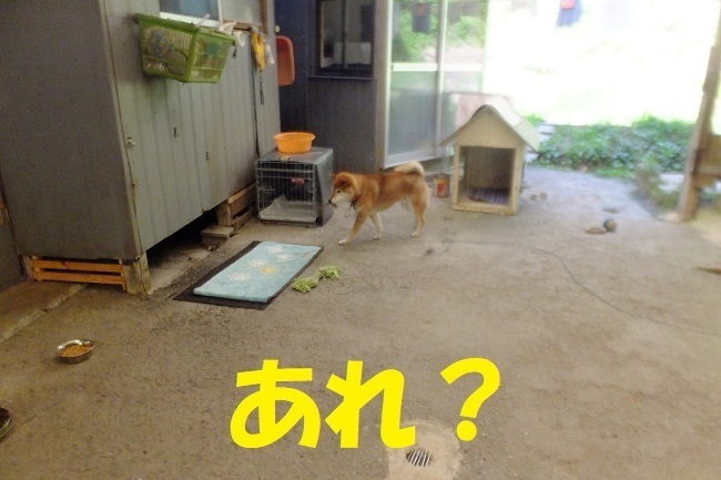 DSCF8926.JPG