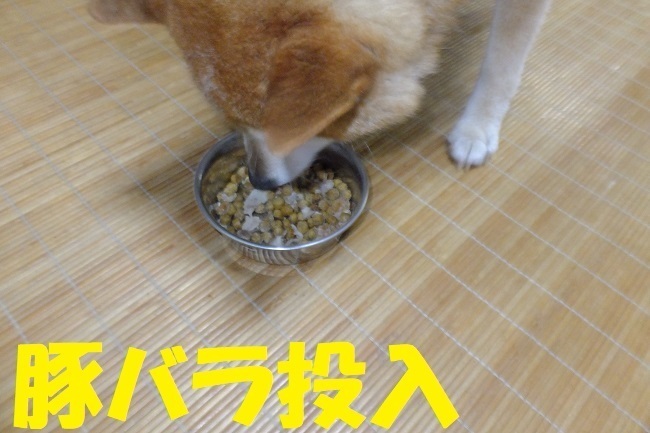 DSCF8961.JPG