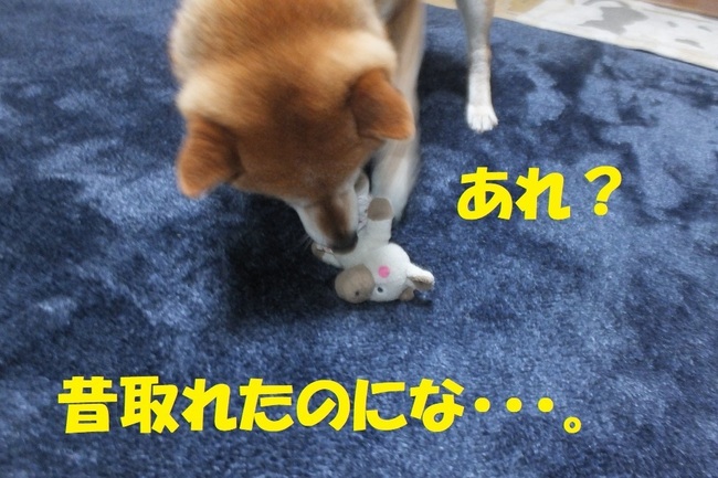 DSCF8973.JPG