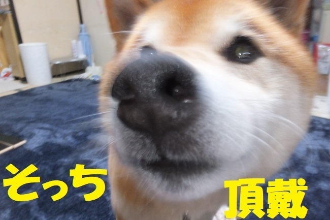 DSCF8978.JPG