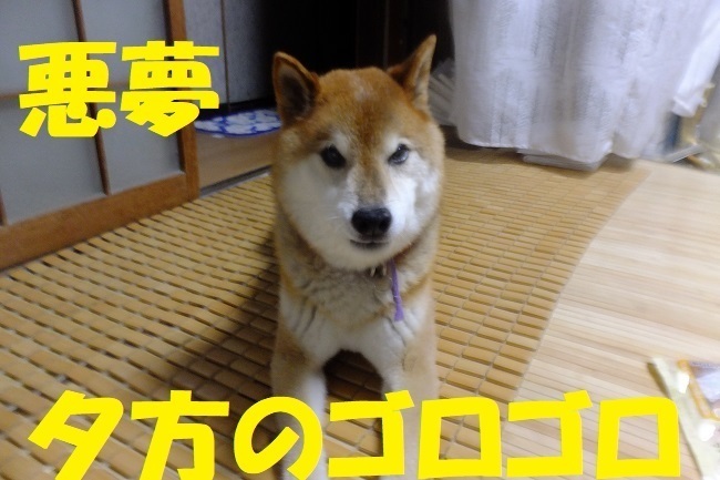 DSCF8997.JPG