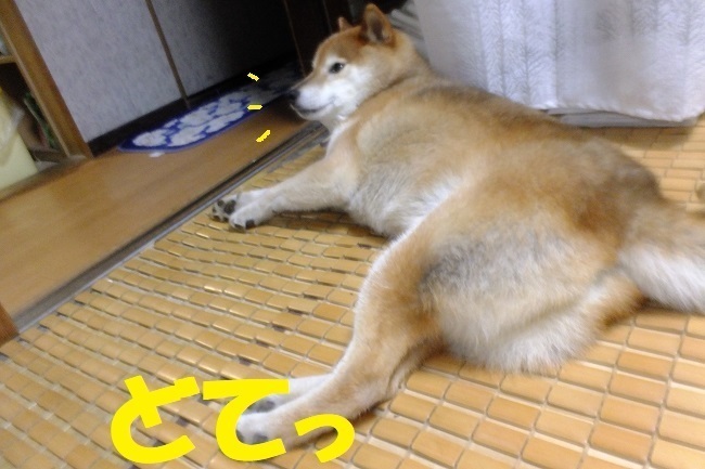 DSCF8998.JPG