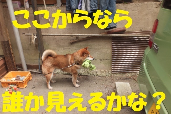 DSCF9014.JPG