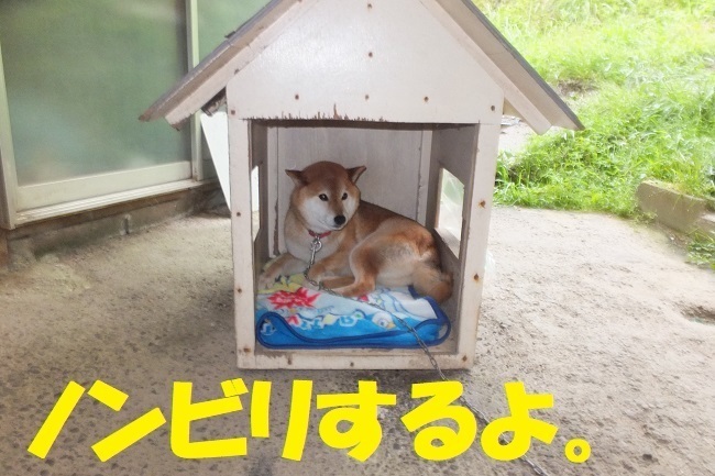 DSCF9386.JPG