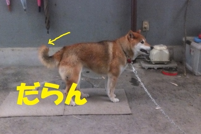 DSCF9391.JPG