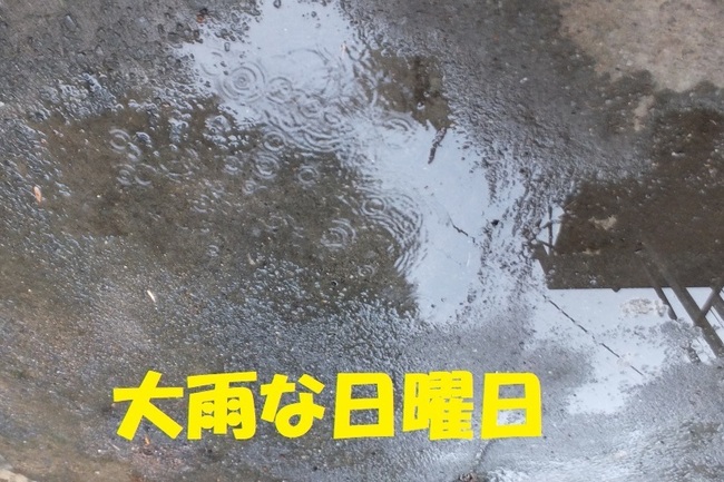 DSCF9395.JPG
