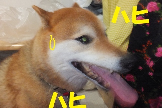 DSCF9405.JPG