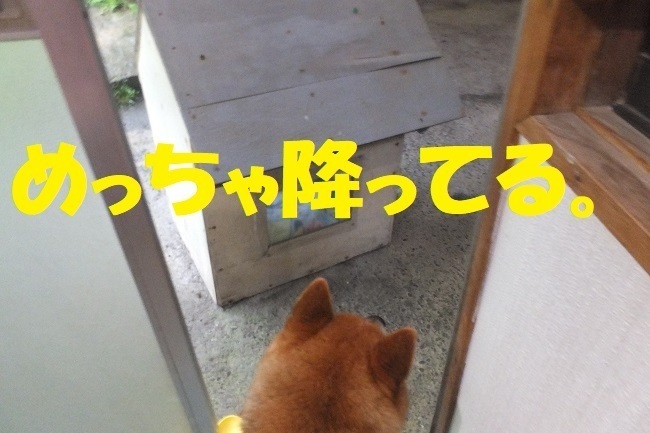 DSCF9412.JPG