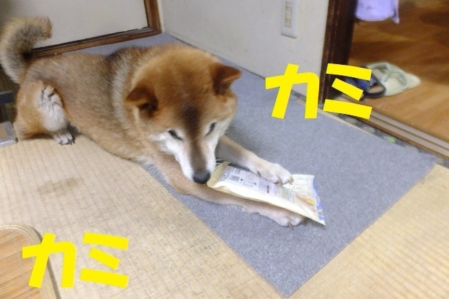 DSCF9476.JPG