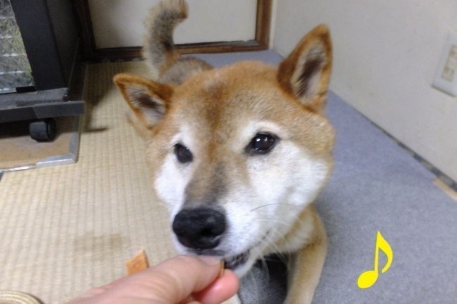 DSCF9487.JPG