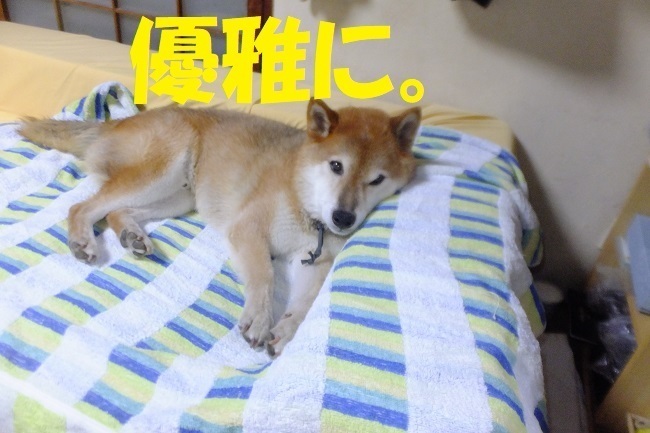 DSCF9495.JPG