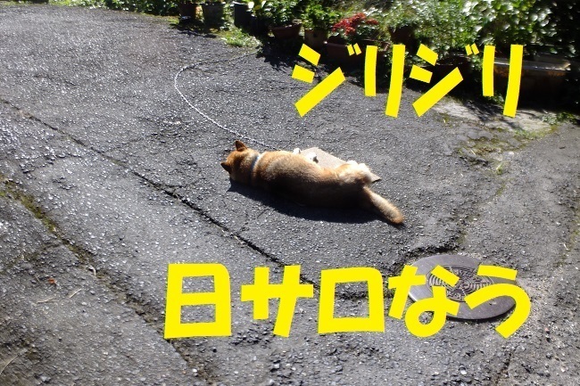 DSCF9499.JPG