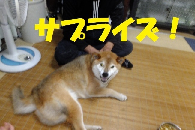 DSCF9563.JPG