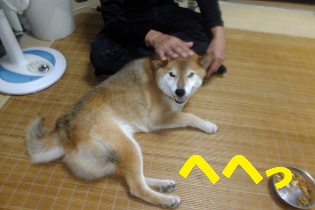 DSCF9567.JPG