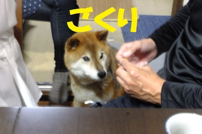 DSCF9582.JPG