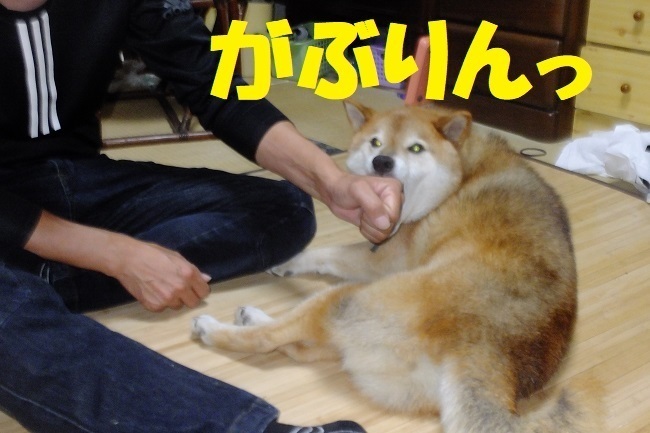 DSCF9592.JPG