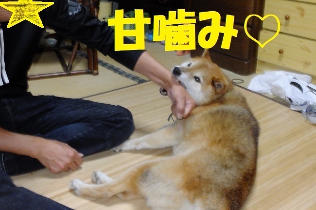 DSCF9593.JPG