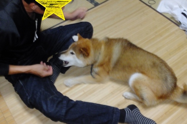 DSCF9596.JPG