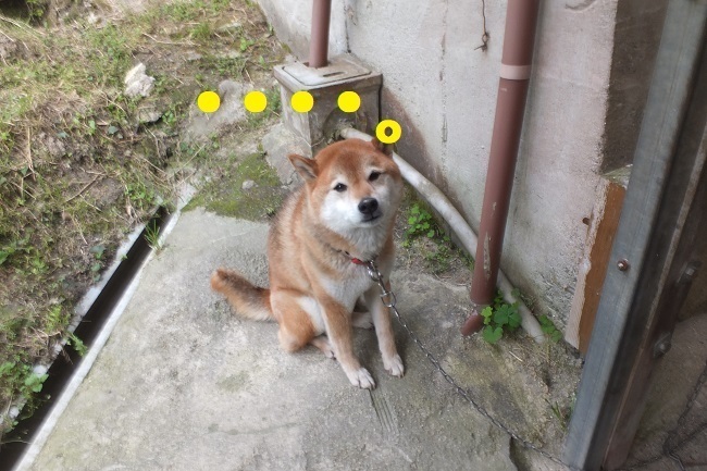DSCF9685.JPG