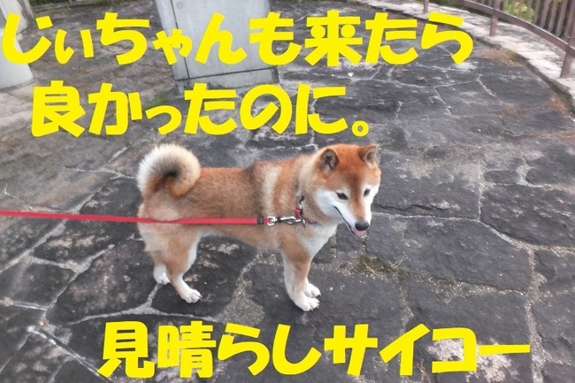 DSCF9702.JPG