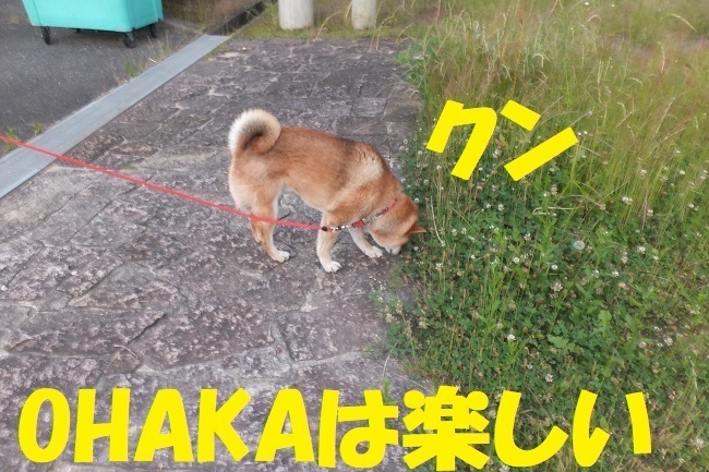 DSCF9712.JPG
