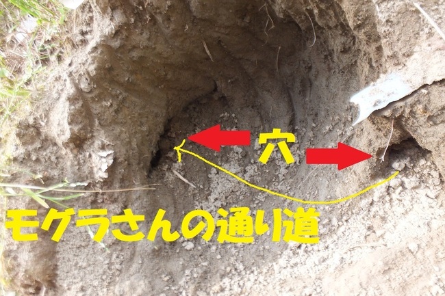 DSCF9724.JPG