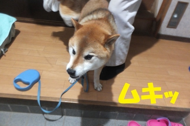 DSCF9746.JPG