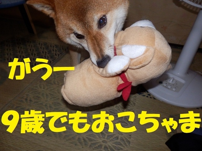 おこちゃま.jpg