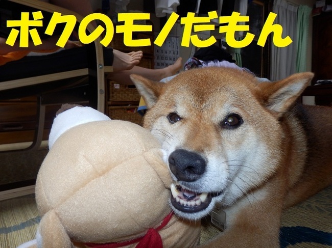 僕のだから.jpg
