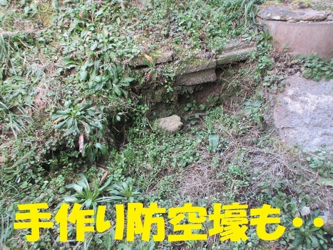 IMG_4673.JPG