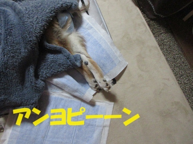 IMG_7492.JPG