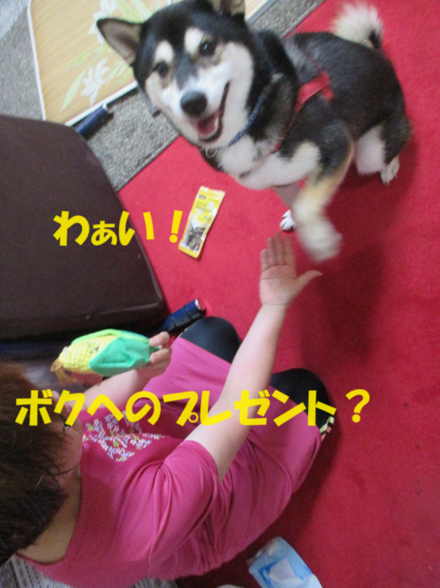 IMG_8439.png
