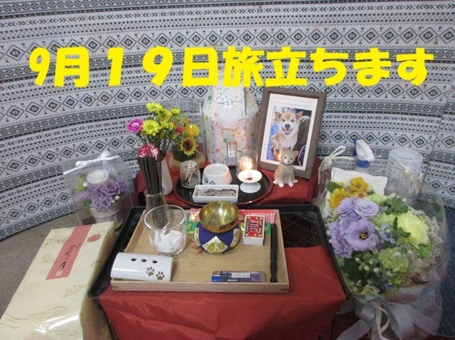 IMG_8493.JPG